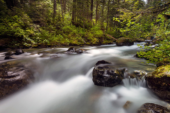 Bagley Creek
