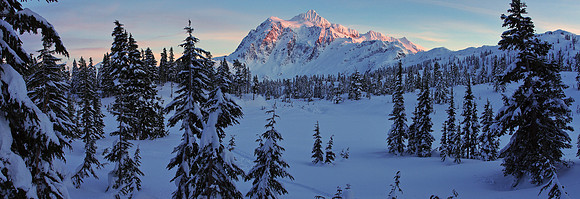 Shuksan Pride