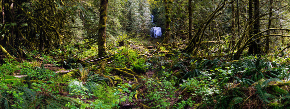 Fallen Falls
