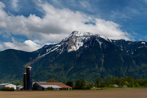 Farmland