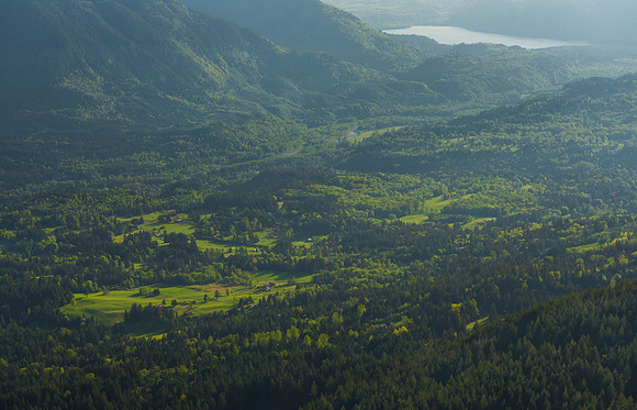 Emerald Fields