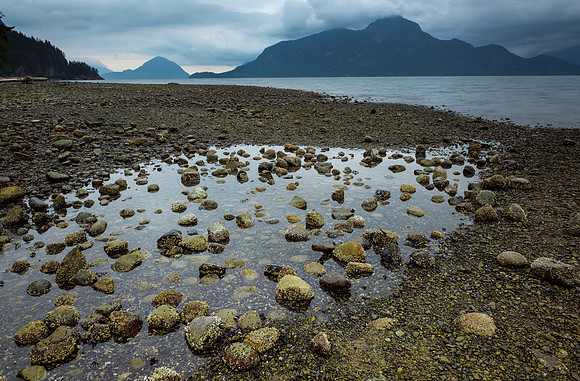 Cove Rain