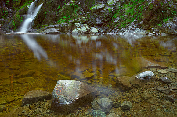 Amber Flood