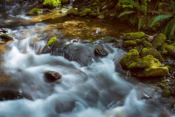 Purified