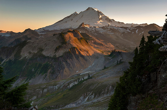 Baker Scapes