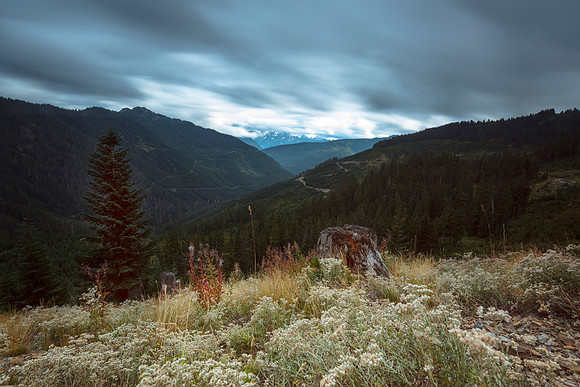 Lady Valley