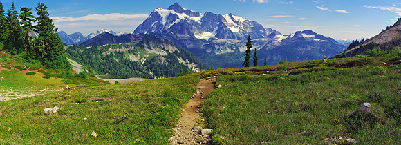 Shuksan Summer