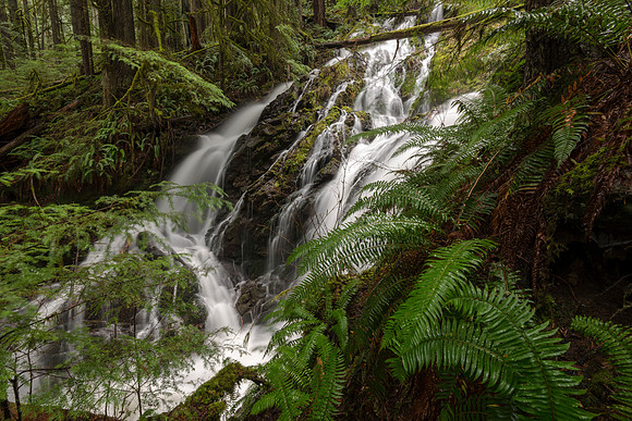 Green Cascade