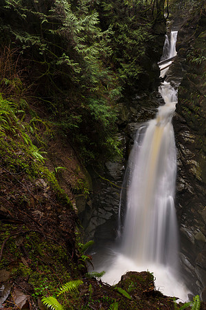Lower Cypress