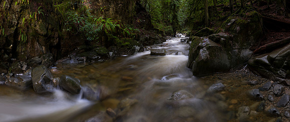 Cypress Creek