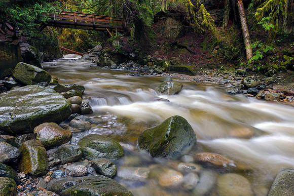 Bridge Walk