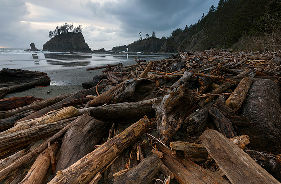 Driftwood