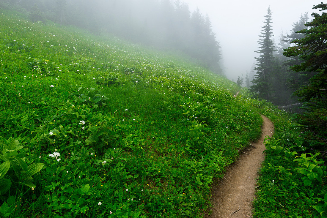Skyline Divide Trail, Mt. Baker Area, Washington State, USA.