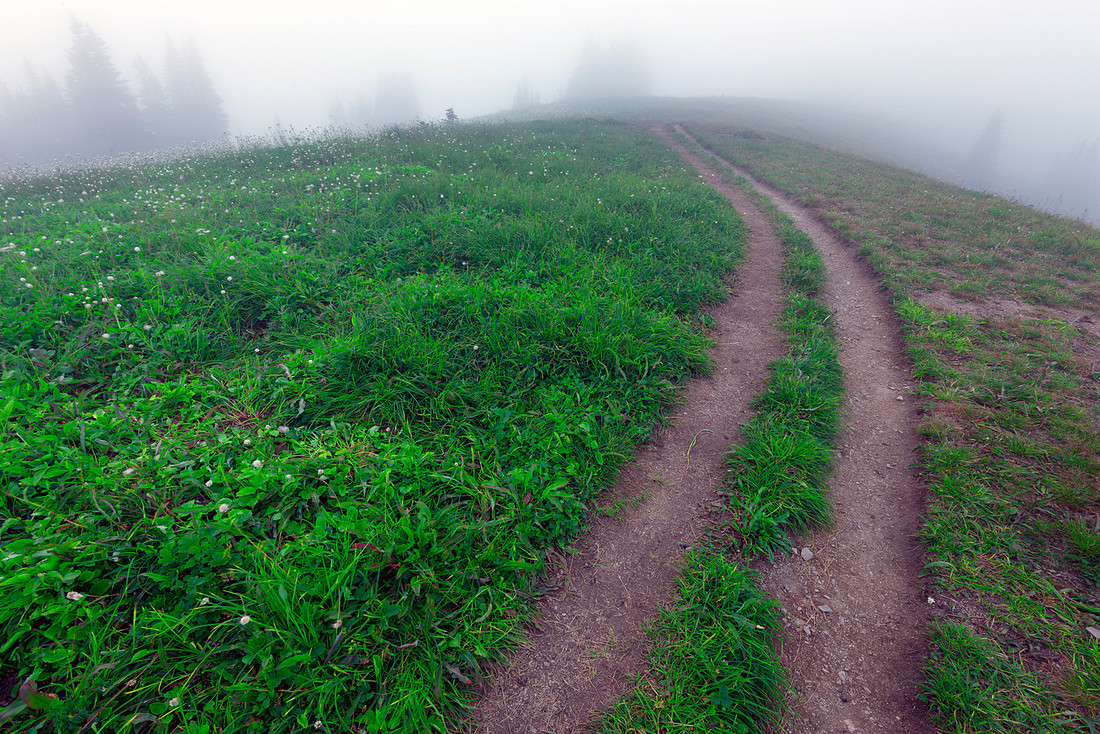 Skyline Divide Trail, Mt. Baker Area, Washington State, USA.