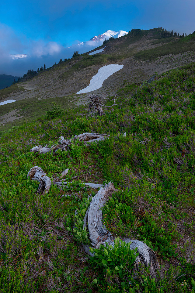 Skyline Divide Trail, Mt. Baker Area, Washington State, USA.