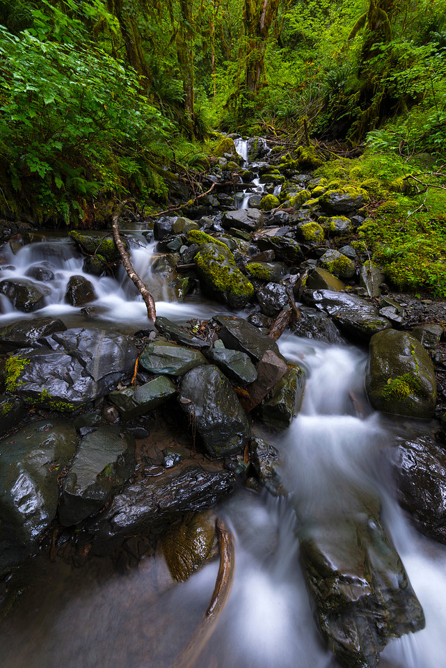 Falls In Nature