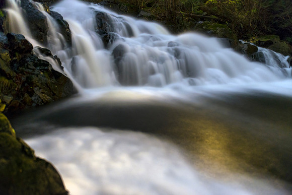Salmon Run