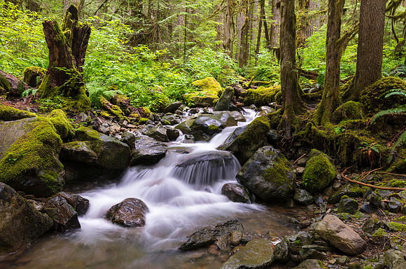 Wells Creek