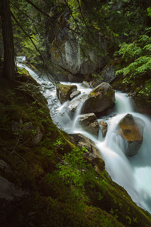 Blissful Green