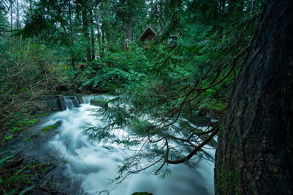 The Cabin