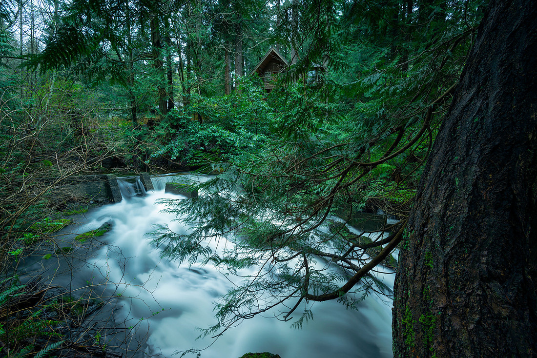 The Cabin