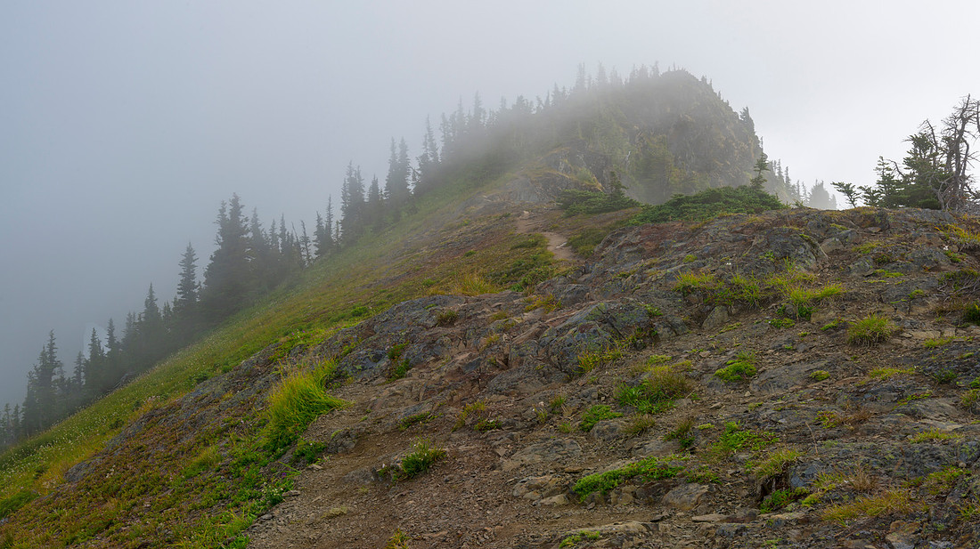 Skyline Divide Trail, Mt. Baker Area, Washington State, USA.
