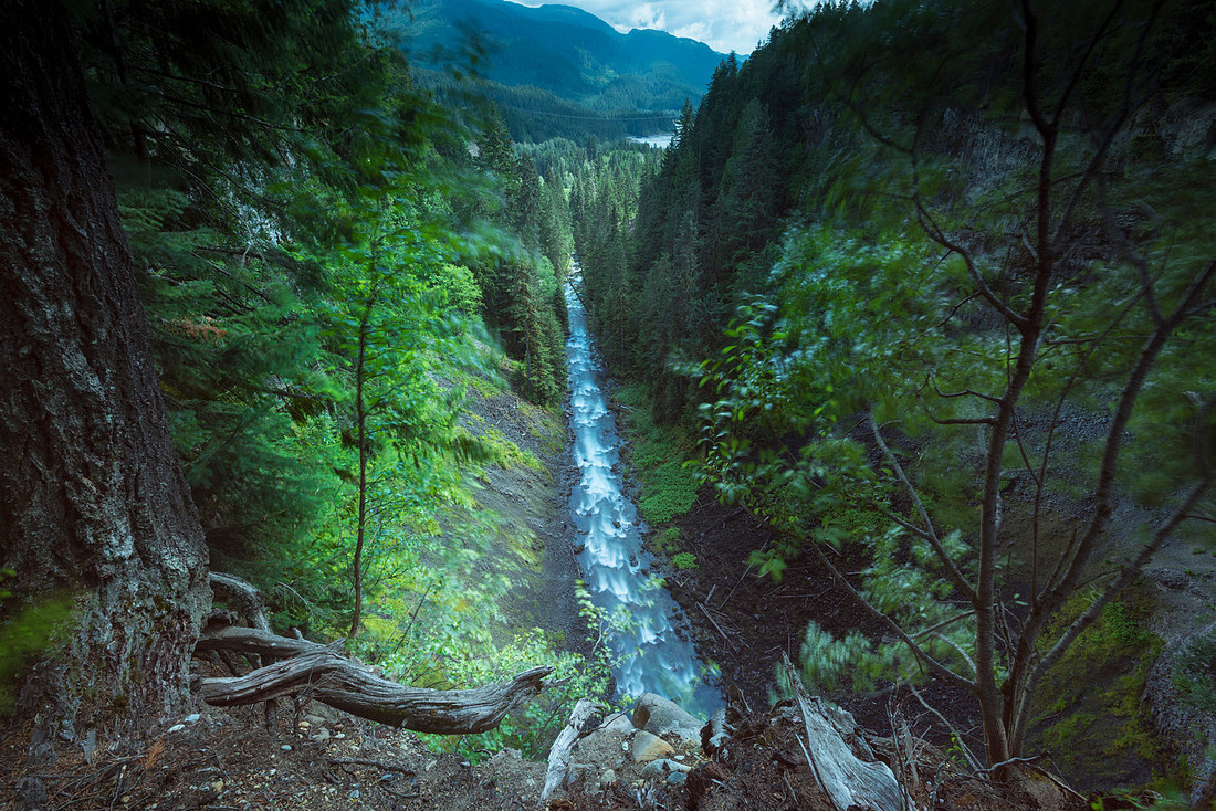 Creek Views