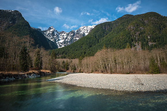 Spring Scenes