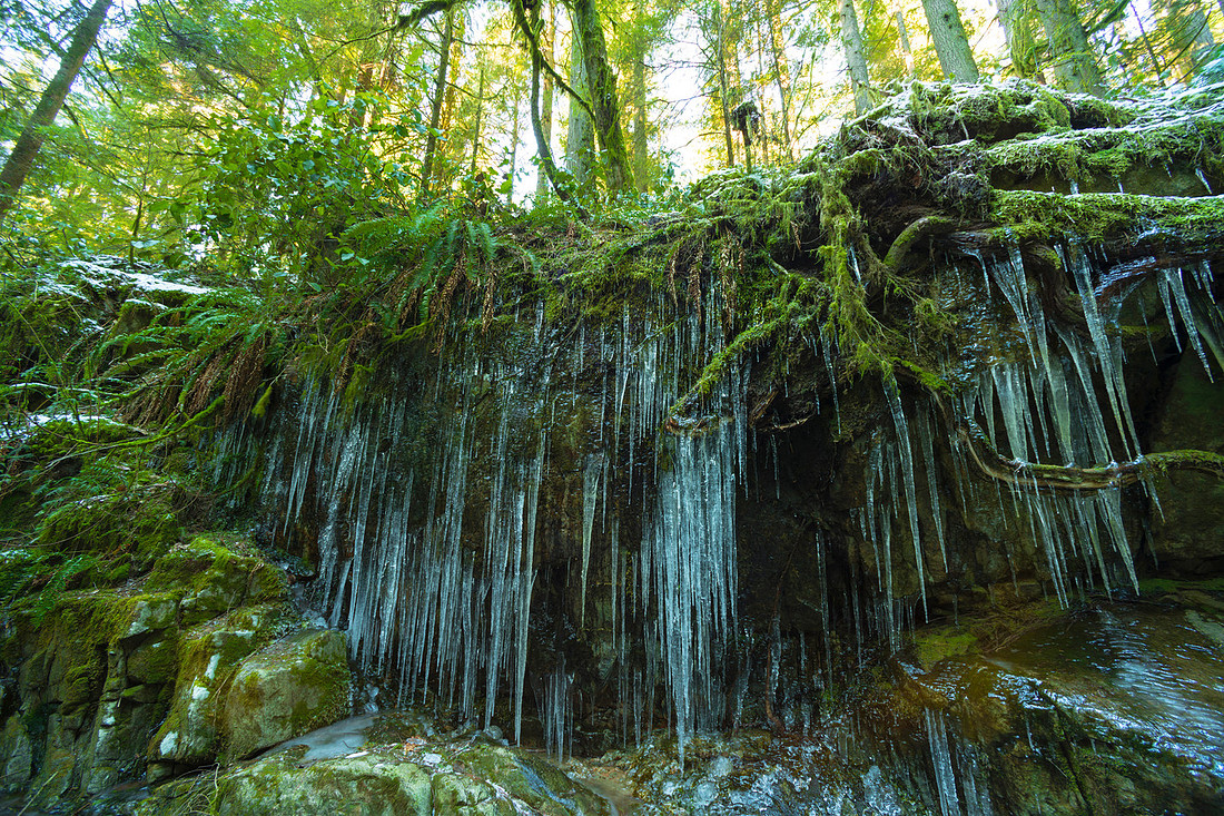 Ice Green