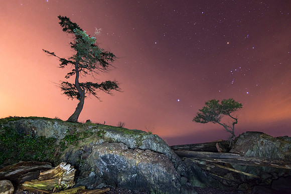 Night Glow