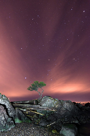 Starlight