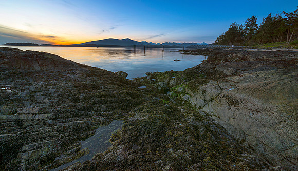 Pacific North West Love
