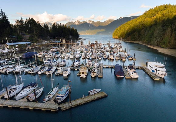 Snug Cove