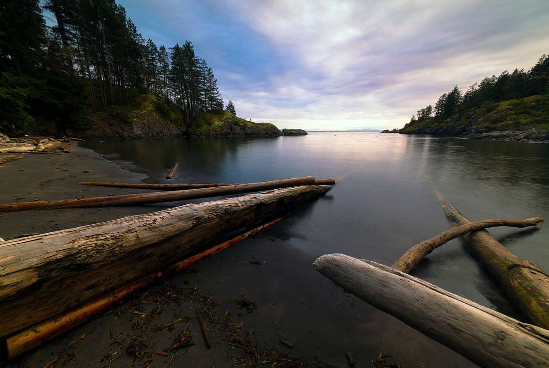 Cove Drift