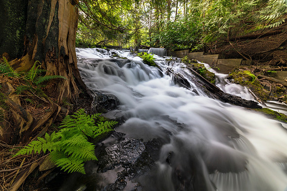 Bowen Island