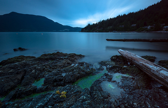 Blue Shore