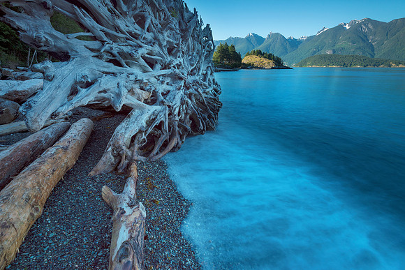 Patterns of Nature