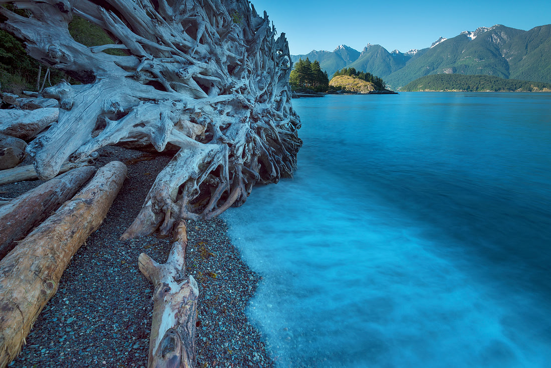 Patterns of Nature