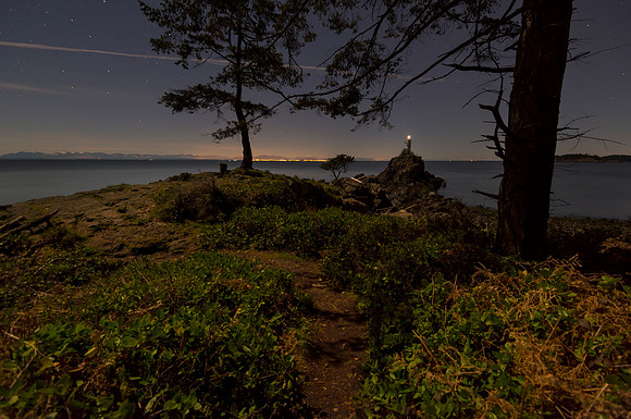 Divine Arbutus