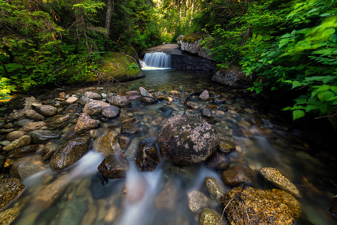 Needle Creek