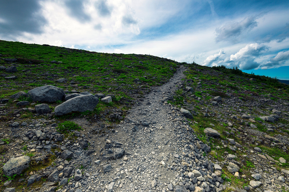 Trails Ahead
