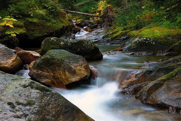 Plentiful Streams