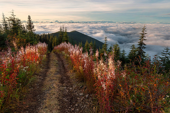 Sky Road