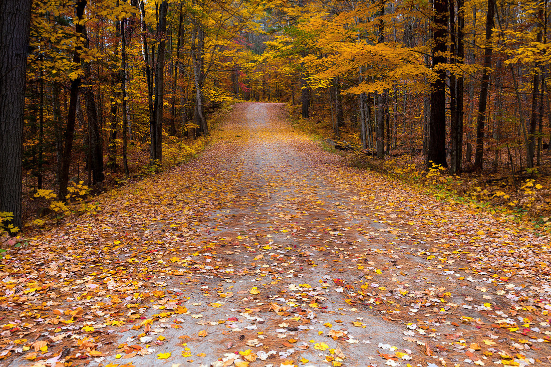 Paths