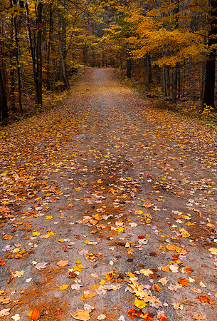 Portrait of Autumn