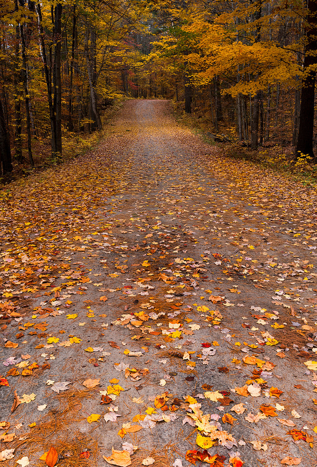 Portrait of Autumn