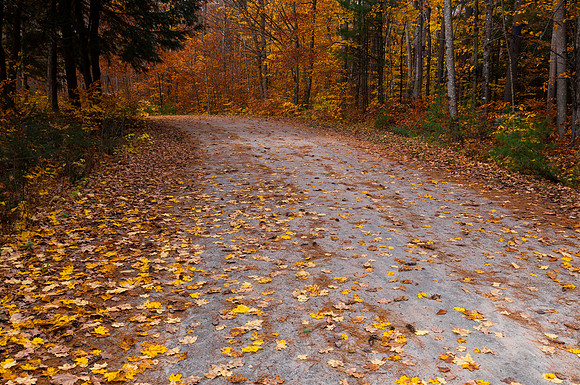 Road to Autumn