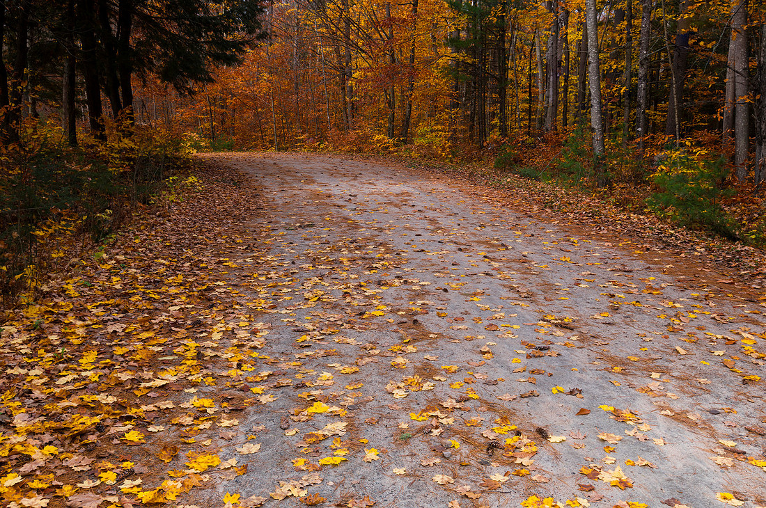 Road to Autumn