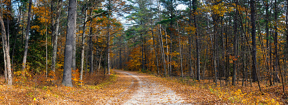 Fall Paths