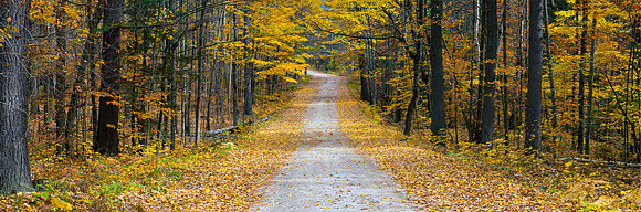 Bon Echo Colour